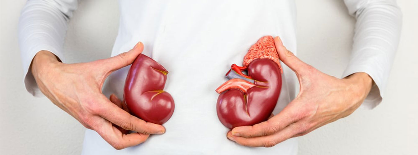 How can you keep your kidneys healthy?